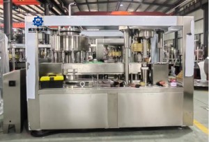 Fruit juice Canning Production Line machinery manufacturer polupar in Vietnam