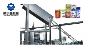 Fruit juice Canning Production Line machinery manufacturer polupar in Vietnam