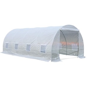 Plastic Tunnel Green House For Agriculture 6x3x2m