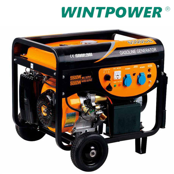 WT Portable Diesel Generator Set Small Power Generator Home use
