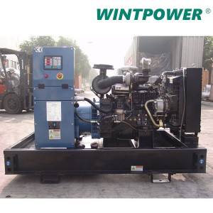 Deutz Generator Manufacturer –  WT Ricardo Series Diesel Generator Set Kofo Generator China – WINTPOWER