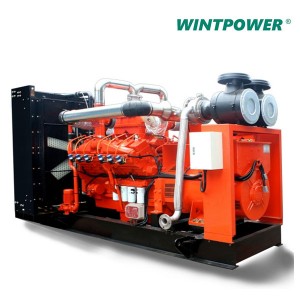 China Silent Type Generator Manufacturer –  WT Natural Gas Generator Set Biogas Generator Set – WINTPOWER