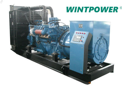 Wudong Diesel Power Generator Set Dg Genset 138kVA Wd129d11 170kVA Wd150d15 Wd129td16 200kVA Wd129td17 Wd135td19 220kVA Wd129tad19 250kVA Wd129tad23 275kVA