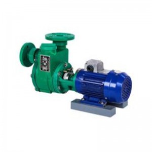 Factory source Electric Jet Pump - FPZ Direct Type Self-Priming Pump – Yingzhong