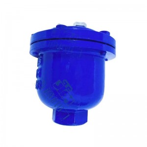 High Quality Micro Exhaust Valve Threaded Automatic
