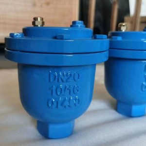 High Quality Micro Exhaust Valve Threaded Automatic