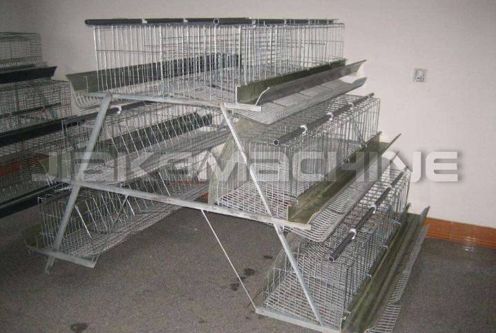 How to choose a breeding chicken cage net machine?