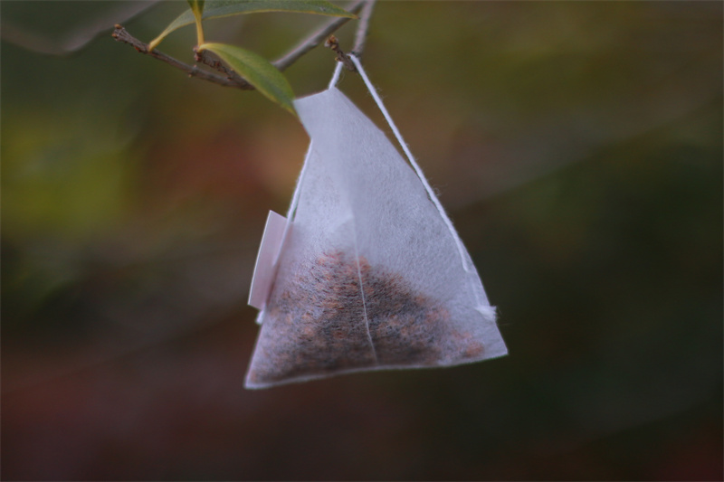  How To Drink The Tea With Tea Bag