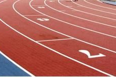 EPDM Athletic Track Particle