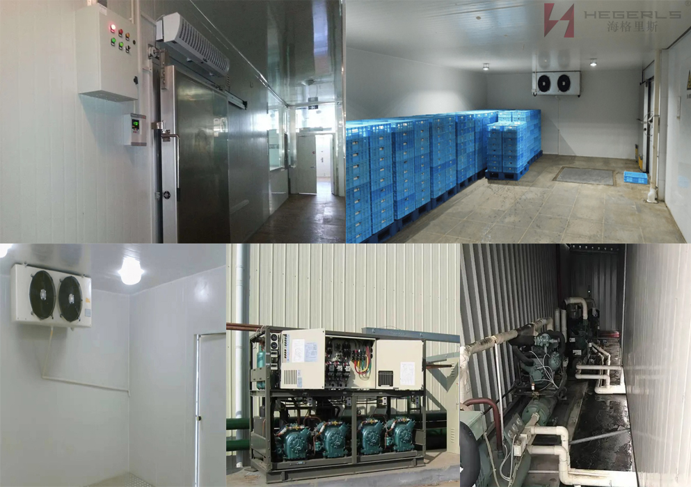 [Construction of refrigerated and refrigerated cold storage] How should the cold storage be maintained to extend its overall service life?