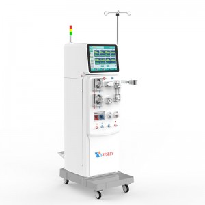 Hemodialysis Machine W-T2008-B HD Machine