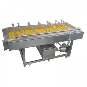 OEM China SUS304 Orange/Apple/Potato/Carrot Washer for Food Processing Factory