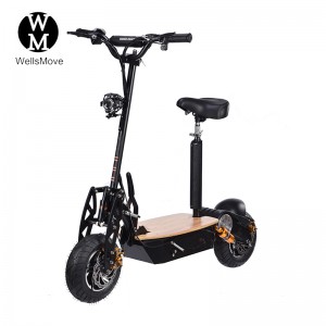 1600W off road Electric scooter