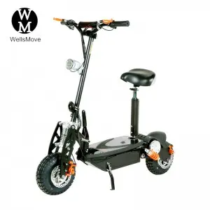 Eco-Friendly Transportation of the Future: Introducing Our Electric Scooters and Tricycles