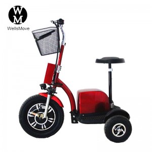 trourism rental electric tricycle scooter