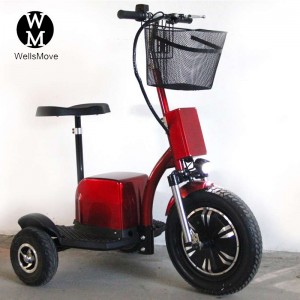 scooter tricycle électrique de location de tourisme