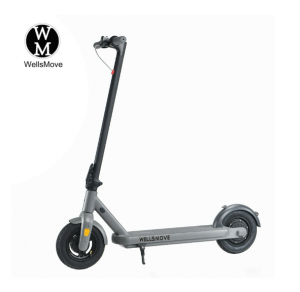 2022 new model 10inch electric scooter