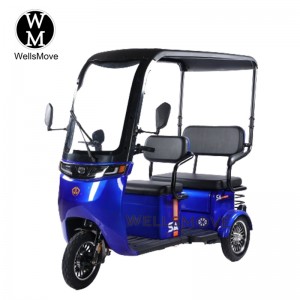 Cargo tricycle for tourism use