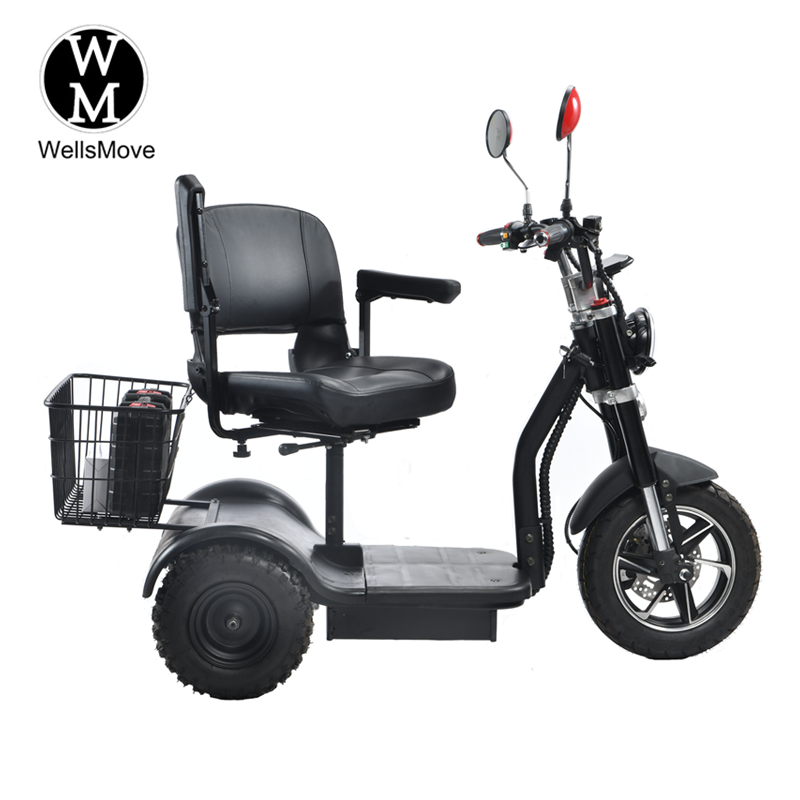 China wholesale Electric Snow Trike Factory –  Differential Motor Electric Mobility Trike Scooter – WellsMove