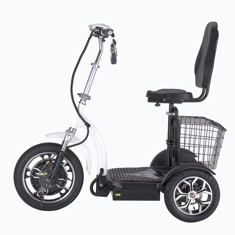 China wholesale Green Scooter Suppliers –  disabled three wheel mobility trike scooter – WellsMove detail pictures