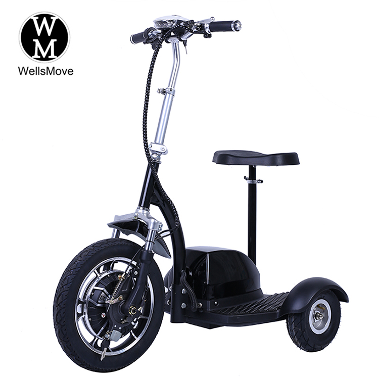 China wholesale Hoverboard Scooter Manufacturer –  standing zappy Three wheel electric scooter – WellsMove Featured Image