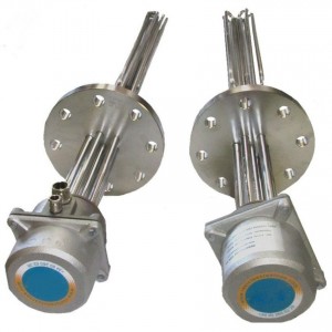 Explosion proof industrial immersion heater