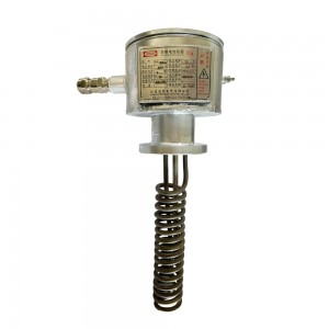 380V 4KW industrial immersion heater explosion proof