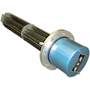 Flange type immersion heater