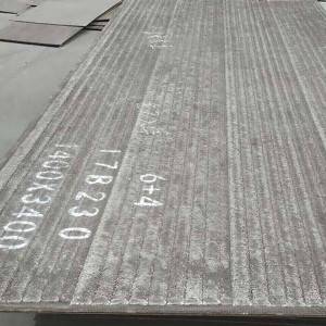 Cheap price Cement Industry Clading Wear Resistant Plate - WD1000/WD1100 Wear Plates – Wodon