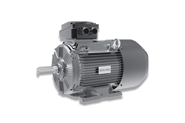 Explosion-Proof Motor: Excellent in Environmental Protection and Energy Saving
