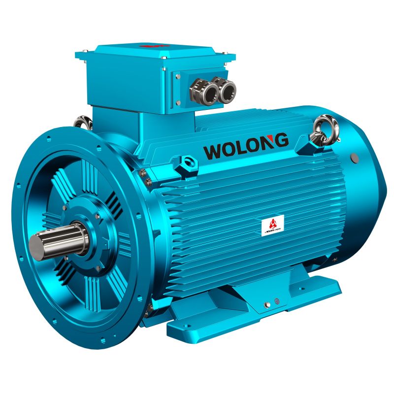 Explosion-proof grade of dust explosion-proof motor