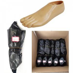 Factory supplied Prosthetic Foot Artificial Limbs Carbon Fiber Low Ankle Carbon Fiber Elastic Foot with Aluminum Adapter Artificial Foot Prosthetics Foot