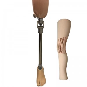 Cheap price High Quality Prosthetic Leg Artificial Leg Ak Cosmetic Foam Cover (water proof)