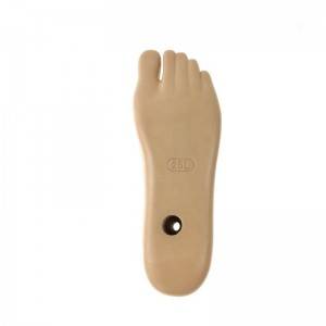 New Delivery for Prosthetic Limbs Sach Foot Adapter Prosthetic Foot for Legs Prosthesis