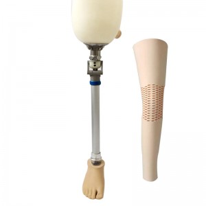 Leading Manufacturer for China Artificial Limbs Prosthetic Bk Cosmetic Leg EVA Bk Cosmetic Inner Foam Cover