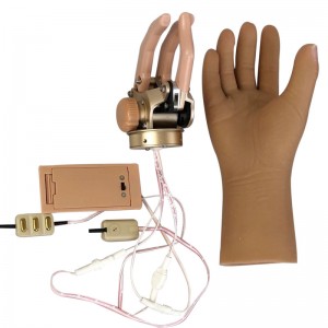 Myoelectric Half Palm Hand with One Degree of Freedom for BE
