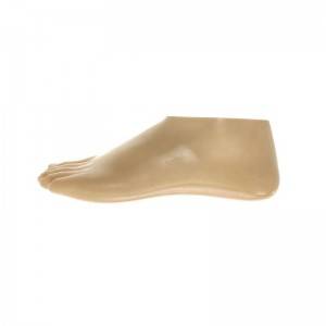 New Delivery for Prosthetic Limbs Sach Foot Adapter Prosthetic Foot for Legs Prosthesis