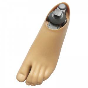 Prosthetic double axis foot for amputee