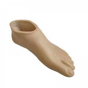 Bottom price 2022 hot selling Beige / Brown Artificial limbs prosthetic sach foot