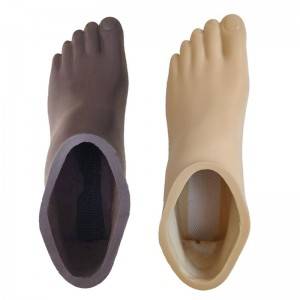 Professional China Prosthetic Leg Prosthetic Foot Carbon Fiber High Ankle Artificial Foot Prosthetics Foot