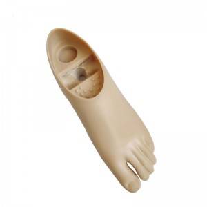 Professional Design Artificial Limb Foot Prosthesis Single Axis Foot Two Holes Artificial Leg Foot Prosthetics Foot