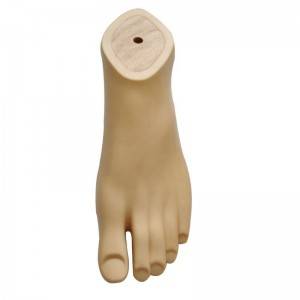 OEM/ODM Supplier China Polyurethane Foot Ankle Adaptor Prosthetic Sach Foot