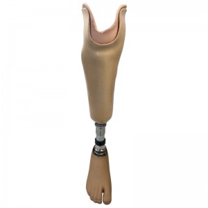 Supply ODM China Artificial Limbs Prosthetic Leg Cosmetic Thin Ak Stump Socks for Lower Amputees