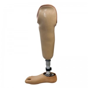 Factory Supplier Artificial Limbs BK Leg Prosthetic Leg For Below Knee Amputees