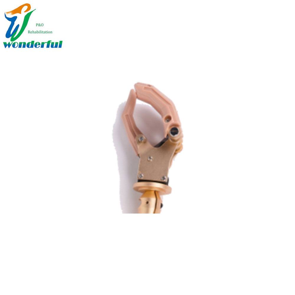 China wholesale Frosted Polypropylene Sheet - Cosmetic skeleton hand with adaptor connector – Wonderfu