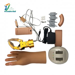 China Supplier Medical Implant Prosthetic Myoelectric Control Hand