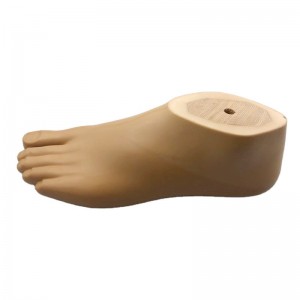 Prosthetic Leg Artificial Limb Polyurethane SACH Foot For Lower Limb Amputees