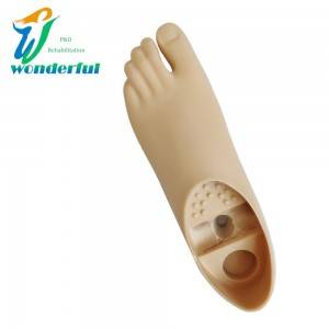 Prosthetic Single Axis Foot