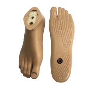 Waterproof and non-slip Sach Foot with plastic core and adapter