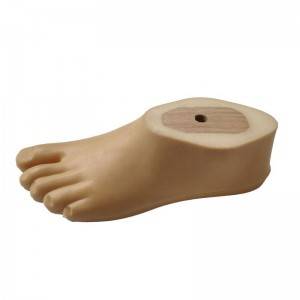 OEM/ODM Supplier China Polyurethane Foot Ankle Adaptor Prosthetic Sach Foot